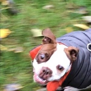 Meet your Posher, Ella